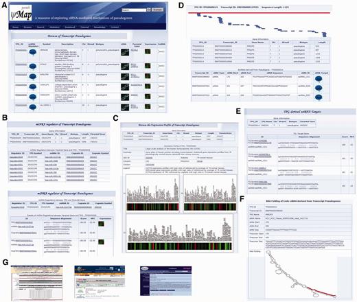 Web interface of pseudoMap. (A) Browse interface of pseudoMap illustrates general information of TPGs, miRNA regulators, esiRNAs and gene expression profiles. (B) The miRNA regulator indicates the miRNA decoys mechanisms between TPG and its cognate. (C) Gene expression profiles of TPG and its cognate gene in various experimental conditions. (D) The diagram of esiRNA represents TPG-derived siRNAs as profiled by deep sequencing data. It displays the more fine-grained information of (E) esiRNA-target interaction and (F) RNA folding structure of TPG-derived esiRNA. In addition, pseudoMap also incorporates the external sources, such as (G) UCSC genome browser for a genomic view, GeneCards for gene annotation and miRBase for miRNA annotation.