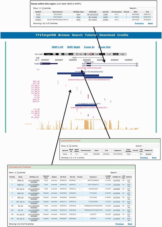 Screen shot depicting the data visualization using integrated UCSC genome browser and the tabulated information.