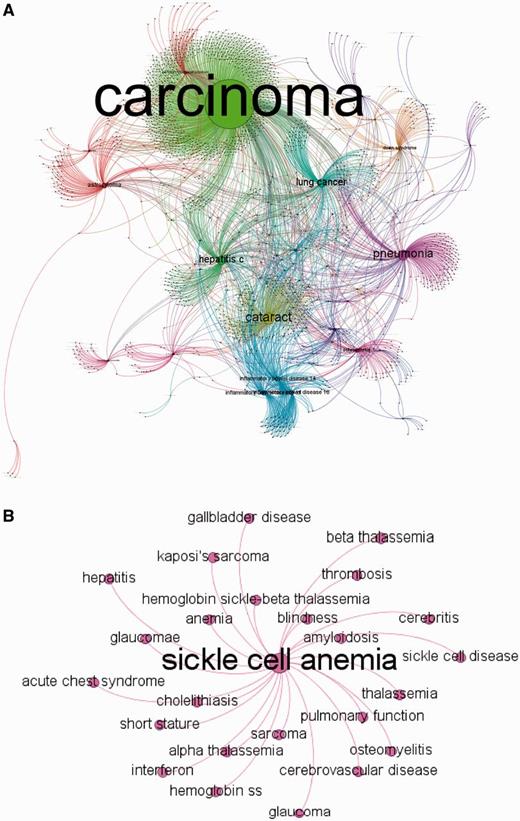 MalaCards disease network. (A) MalaCards disease network created by random sampling of 12% of the nodes, conserving the degree distribution. The network is clustered, whereas nodes and edges are colored according to their cluster association and sized by their authority parameter (22). This figure was produced using Gephi (21). (B) A subset of the directly connected nodes for ‘Sickle Cell Anemia’.
