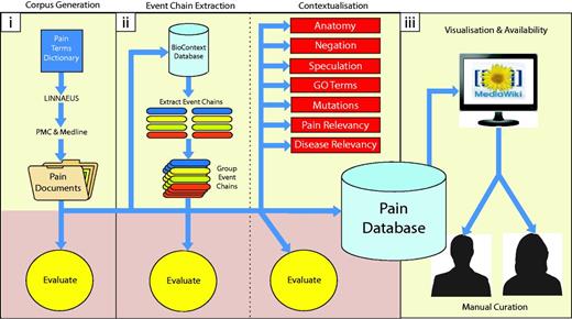 Diagrammatic representation of methodology. Our methodology is divided into three main parts: (i) building a topic-specific corpus and evaluation of document scoring, (ii) data extraction (extracting molecular interactions and adding contexts) and their associated evaluations, (iii) visualization and availability for manual curation of results. Each of these is described in detail within the Methods section.