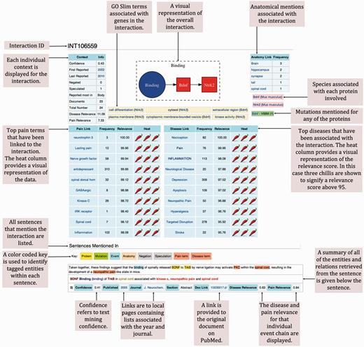 Example of a typical molecular interaction in wiki-pain.org. We have removed the page borders that are typical of a Mediawiki interface and annotated each region of the page that we have designed and is novel. All ‘INT’ pages on wiki-pain.org follow the same framework including single events and event chains containing more than two participants. The specific page shown can be viewed by searching ‘INT106559’ on wiki-pain.org.