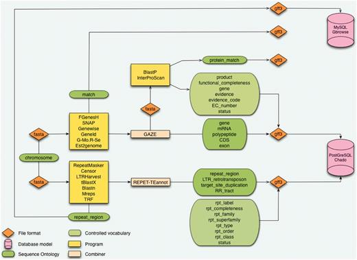 Architecture of the CAS. The starting point is a sequence without annotation which is being processed in analyses pipeline for genes and repeat elements annotation. Results are structured with the Sequence Ontology and controlled vocabularies. Data are formatted in GFF3 before being inserted in databases using Perl loaders.