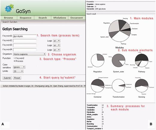 Process search. (A, left) Query interface: Any cellular process of interest can be investigated using this search function, once a proper process name is given (multiple process names are also accepted; they can be connected by specified logical relationships), an organism chosen and the query started by clicking the search button (annotation of instructions given in red). (B, right) results page: pie charts summarize different cellular modules and types involved in the process of choice and their relative importance in percent counting the number of further processes interacting with the queried process. For each module type, the relative amount of processes for its sub-categories is given (six pie charts in the middle of the page). A text listing (bottom) summarizes the exact occurrence of processes for each sub-category.