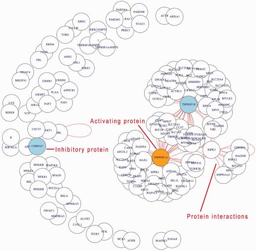Relation-view. The application example shown concerns the analysis of inflammatory processes in humans. Querying used the keyword ‘inflammatory’ and ‘process’ for the selected organism ‘Homo sapiens’. The generated network visualization shows the interacting proteins within the inflammation process. Interactions are indicated by red lines (short lines covered in the crowded output, but clearly visible for the central hubs as indicated in the result figure). Activating proteins are coloured in orange, whereas inhibitory proteins in blue.