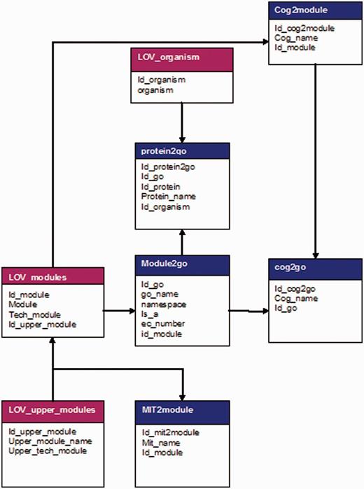 Entity–relationship diagram of GoSynthetic database. The Entity–relationship model of GoSynthetic is illustrated in the figure. Different types and sources of data covering COG/KOG, organism-specific proteins and interactions have been merged and organized into GoSynthetic database.