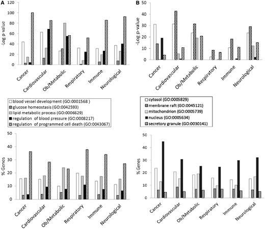 (A) The BP annotations of the disease-associated genes at RGD were subjected to enrichment analysis using RatMine. The enrichment P-values, presented as ‘–Log P-value’ are shown in the top panel, and the percentages of genes annotated with the relevant GO term and its children are shown in the bottom panel. The six RGD disease portals—cancer portal (cancer), cardiovascular disease portal (cardiovascular), obesity/metabolic syndrome portal (ob/metabolic), respiratory disease portal (respiratory), immune and inflammatory disease portal (immune) and neurological disease portal (neurological)—are listed across the x axis. (B) The CC annotations of the disease-associated genes at RGD were subjected to enrichment analysis using RatMine. The enrichment P-values, presented as ‘–Log P-value’ are shown in the top panel, and the percentages of genes annotated with the relevant GO term and its children are shown in the bottom panel. The six RGD disease portals—cancer portal (cancer), cardiovascular disease portal (cardiovascular), obesity/metabolic syndrome portal (ob/metabolic), respiratory disease portal (respiratory), immune and inflammatory disease portal (immune) and neurological disease portal (neurological)—are listed across the x axis. (C) The MF annotations of the disease-associated genes at RGD were subjected to enrichment analysis using RatMine. The enrichment P-values, presented as ‘–Log P-value’ are shown in the top panel, and the percentages of genes annotated with the relevant GO term and its children are shown in the bottom panel. The six RGD disease portals—cancer portal (cancer), cardiovascular disease portal (cardiovascular), obesity/metabolic syndrome portal (ob/metabolic), respiratory disease portal (respiratory), immune and inflammatory disease portal (immune) and neurological disease portal (neurological)—are listed across the x axis.