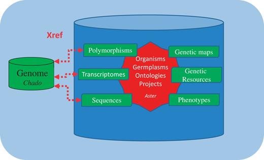 GnpIS integrative schema.