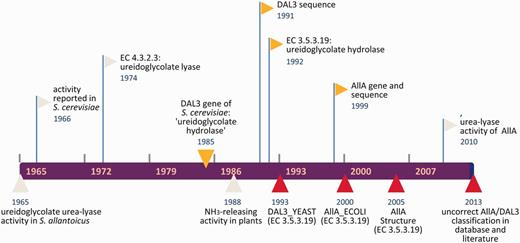 Timeline of DAL3/AllA misclassification as EC 3.5.3.19. Events marked in red represent erroneous interpolation in database or literature; events marked in yellow represent causes or occasions of errors.