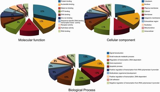 The summary of top 10 GO descriptions (based on molecular function, cellular component and biological processes) of hypoxia-regulated proteins in HypoxiaDB.