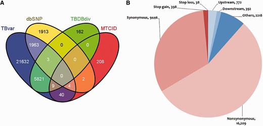 Comparison of variations with other resources and their mapping to different regions of the genome. (A) Comparison of the variations in M. tuberculosis with respect to other variation resources. (B) Graphical representation showing distribution of SNPs in various loci of the M. tuberculosis reference genome.