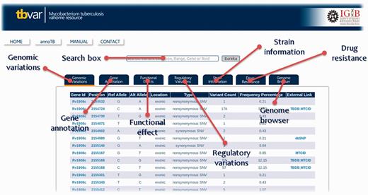 Screenshot showing result table and information or each section of database and the respective tabs for each of the sections.