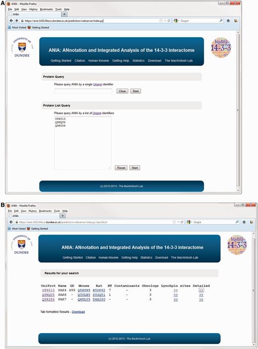 Protein query on ANIA. (A) Homepage of ANIA showing the protein and protein list query fields. (B) Sample results webpage for the default protein list query. The result page display the UniProt Id (UniProt), the UniProt name (Name) and the presence of a Golden Standard site (GD) on the query proteins. The page also lists the mapping of the input UniProt Ids to the Mouse and Rat UniProt Ids. Under ‘HT’ the page displays the number of HT experiments in which the protein was isolated by 14-3-3-affinity capture, and under ‘contaminants’ is given the number of in-house experiments in which the protein with the input UniProt Ids was isolated by non-specific binding to chromatography matrix with no bound 14-3-3. If the input UniProt Id belongs to a 2R-ohnologue family, the ‘Ohnologs’ column reports the number of protein members of that family. Finally two hyperlinks connect the page to the candidate Lynchpin site prediction (Lynchpin sites) and the detailed information page (Detailed) for the input UniProt Id.