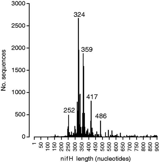 Number of nifH sequences in the database as a function of their length. The values of sequence length that are most frequent are labeled in the figure.