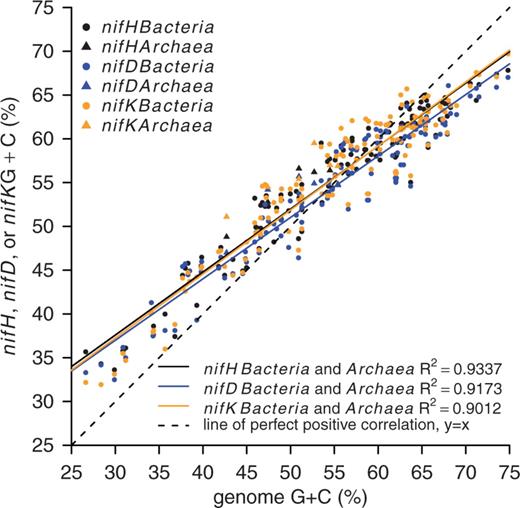 Sequence G + C content for complete genomes and the G + C content of corresponding nifH, nifD and nifK genes for 6 Archaea and 131 Bacteria. Colors represent different genes, and symbols indicate Bacteria and Archaea as shown in the figure legend.