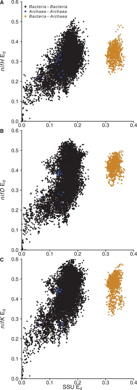 Comparison of relative Ed between 16S rRNA genes and nifH (A), nifD (B) and nifK (C). Colors indicate intra-domain and inter-domain comparisons for each set of genes as indicated in the figure legend.