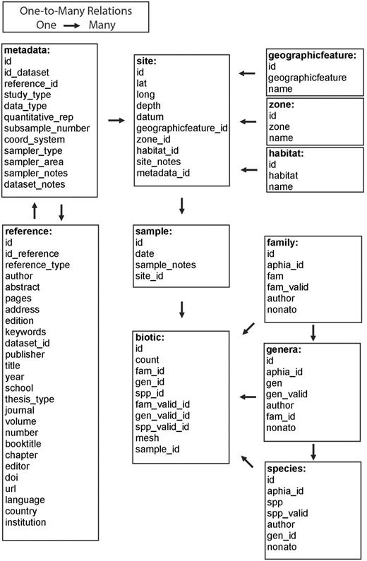 Relational structure of the integrated NONATObase.