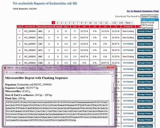 List of all tri-nucleotide microsatellites of E. coli HS genome along with a snapshot window of a particular microsatellite repeat along with its summary and flanking sequence.