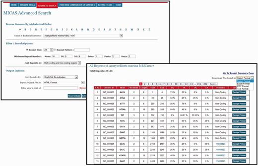 A snapshot of Advanced Search of MICAS and the results page.