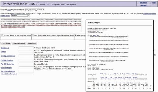 The customized Primer3 interface of MICAS3.0 where the input sequence designed by the user is directly submitted and can be used to modify the various parameters to design primers .