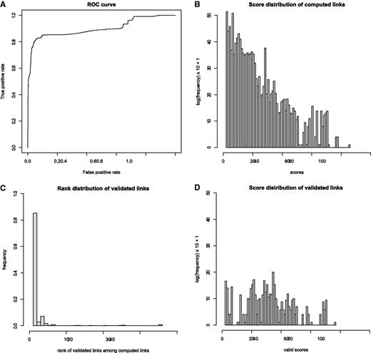 Evaluation of automatic matching by statistical comparison of all computed versus validated or proposed link scores. ( A ) ROC curve of true positive vs. false positive rate after optimizing the scoring system with a linear discriminant analysis. ( B ) Log frequency plot of 323 234 computed link scores. Each event-isolate link satisfies the three minimal linkage criteria: same country, same animal class, known year and month of the collect date, date delay ±18 days. Each score is a weighted sum of 3 subscores showing quality of match for species, geographical location and date, divided by the rank of this disease event among all other disease events linked with the same isolate. ( C ) Distribution of ranks of isolates in the expert approved (validated) links. Eighty-five percent of validated links are between an event and the top-ranked isolate. ( D ) Distribution of validated link scores. The validated links have significantly higher scores than all computed links (mean scores of 28.5, respectively 6.9. P -value of 2.2 e-16 with a Wilcoxon rank test).