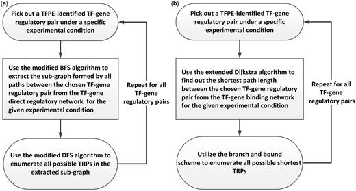 Construction of the YTRP database. The TRP mining procedures for automatically enumerating TRPs from the underlying networks. ( a ) The TRP mining procedure that enumerates all possible TRPs of the given TF-gene regulatory pair from the TF-gene direct regulatory network under different experimental conditions. ( b ) The TRP mining procedure that enumerates all possible shortest TRPs of the given TF-gene regulatory pair from the TF-gene binding network under different experimental conditions.