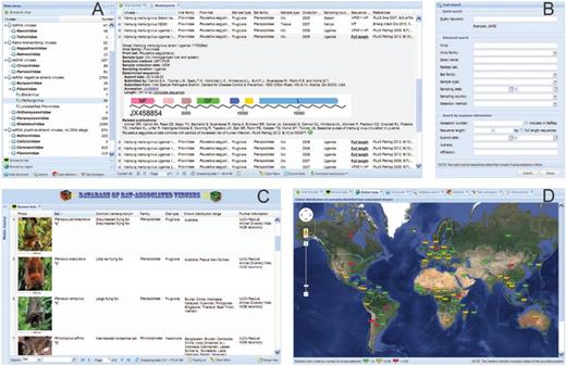 The web interface of DBatVir. ( A ) Multifunctional menu panel (left) and main content panel showing an information table of viruses with one line expanded (right). ( B ) Text search form enables both quick and advanced queries. ( C ) Collapsed menu panel (left vertical bar) and main content panel showing the bat-related information with a simple search engine on the bottom toolbar (right). ( D ) Main content panel showing the global distribution map with markers color-coded by number of bat-associated viruses currently detected. The content panel contains multiple different tabs (see above tab title cards).