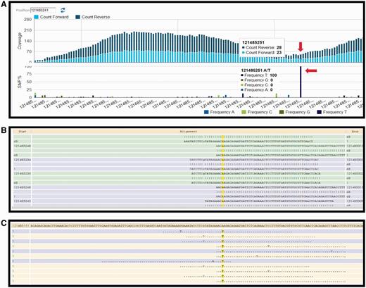 HIVE interface showing result obtained from SNV profiling of short sequence reads mapped to nucleotide sequence surrounding a variation site. (A) Overall coverage result with the 121 485 241 position, showing variation. (B) Reads mapped to the reference sequence with the column of interest are highlighted in yellow. (C) Only variations are shown in this panel.