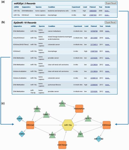Searching result and integrated network of ‘miR-19a’.