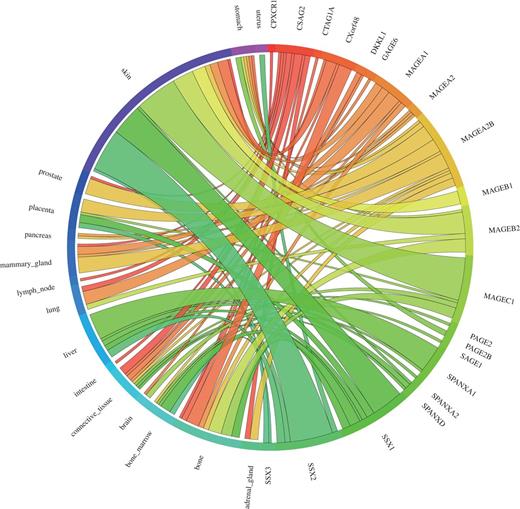 Circos plot showing the gene expression in relation to the corresponding cancer types for the 39 testis-restricted genes determined by Hofmann et al. (9). 21 of the 39 testis-restricted genes exhibit expression in various cancer types, in particular in melanoma (labelled as skin). Each connection between a gene and a cancer type indicates expression in a cancer. The magnitude of the connection corresponds to the transcripts per million (tpm) for the given gene in a given tissue.