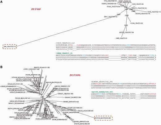 Family outliers. (A, B) Provision of two examples of sequences that could not be associated with family BRPs and are seen as outliers in the family. The association of this sequence with the other family members is presented using the Neighbor Joining tree obtained from PFAM database for the family. The outlier sequence is highlighted and the family name is given in red. Comparison of secondary structures predicted for the outlier and the BRS of the family are also presented as an alignment. The BRS is highlighted in green.