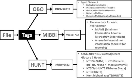 Tagging files. The file shown here has three tags: two from public databases (OBO = Open Biological and Biomedical Ontologies, MIBBI = Minimum Information about a Biomedical or Biological Investigation) and one from a private source (HUNT = The Nord-Trøndelag health study). The OBO tag OBO = 37 039 refers to the term ‘Type 1 Diabetes A’ and is an internal identifier used to ensure persistence between different OBO versions. As the OBO has a hierarchical arrangement, this file will be connected to other files describing ‘Type 1 Diabetes A’ and to, for example, files describing other types of glucose metabolism disorders. The MIBBI = 722 tag tells that the file contains raw data for each hybridization of a microarray experiment. The information about the microarray used, protocols followed etc., will also be attached to this file this way (not show for simplicity). The HUNT = 5613, tells that this file is related to the diabetes study of the phase three Hunt project, specifically ‘Serum Glucose 2 Hours’ values.