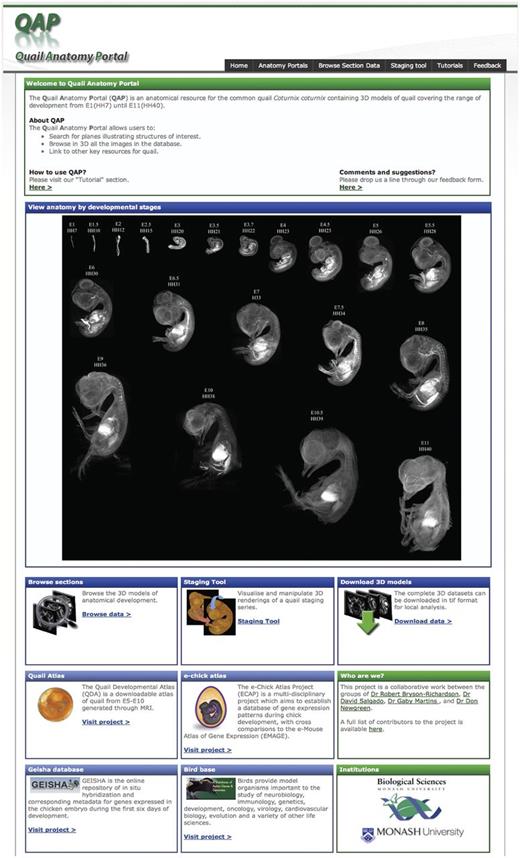 The QAP home page. The home page facilitates rapid identification of the required information by the user. The section data for each stage can be browsed by following the link in the toolbar or in the browse section box. However, the desired stage may also be accessed directly by clicking on the 3D rendered images in the staging series image. The home page also provides access to the staging tool and download area. In addition to the resources available in the QAP the home page also provides links to other related resources.
