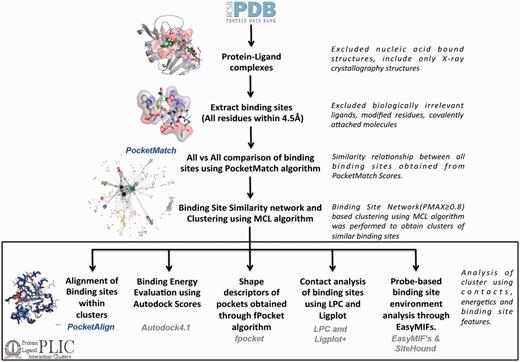 PLIC database workflow. The flowchart illustrates the different steps involved in the construction of the PLIC database. All the protein–ligand complexes are downloaded from the PDB, and binding sites (comprising all the residues that are within 4.5 Å of any ligand atom) are extracted. Only the biologically relevant ligands are selected that resulted in 84 846 binding sites. An exhaustive all-versus-all comparison of these 84 846 binding sites is performed using PocketMatch, and a binding site similarity network is constructed at a PMAX cutoff of 0.8. Network-based clustering of binding sites is performed using the MCL algorithm to obtain clusters of similar binding sites. All the different attributes that are calculated for the interactions within the clusters along with computational tools that were used to derive them are mentioned in the box.