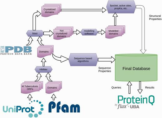 A schematic representation of the TuberQ Pipeline.
