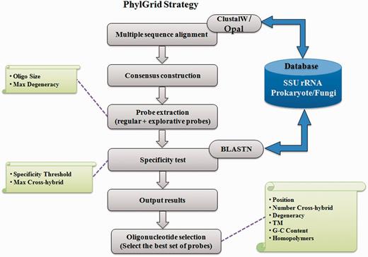 Overview of the PhylGrid algorithm.