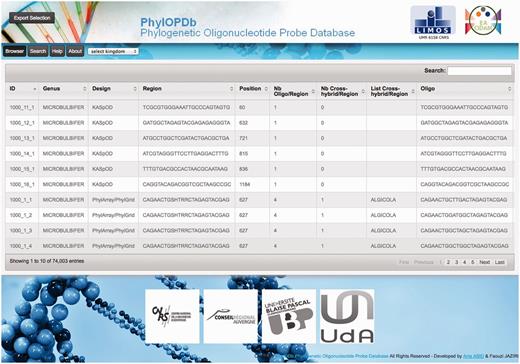 Screenshot of the PhylOPDb web interface.