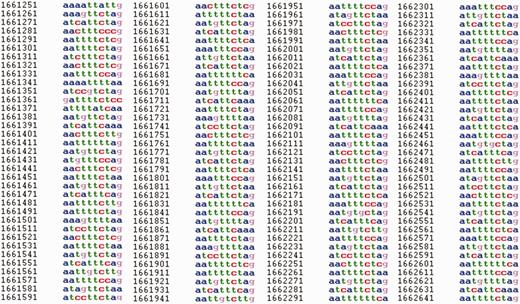 Fragment of a sequence on chromosome I (1 661 021–1 663 249 bp) of C. elegans in HeteroGenome for which a latent profility of 10 bp was revealed. For displayed fragment pl ( 10 ) = 0.77