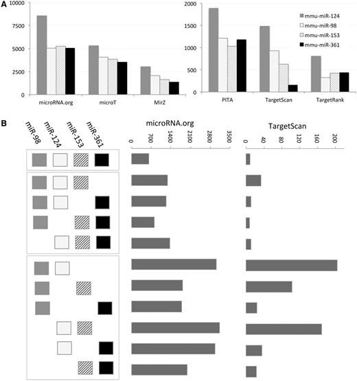 Target prediction according to six MDBs. ( A ) The number of target predicted for mmu-miR-98, mmu-miR-124, mmu-miR-153 and mmu-miR361 is shown for each of the selected MDBs: PITA, TargetScan, TargetRank, microT, miRanda (microRNA.org) and MirZ. Note the large difference in the number of targets that are reported by each MDBs. ( B ) Schematic of all possible combinations of miRNAs is shown (left). The combinations are separated to all four miRNA (one combination), three miRNAs (four combinations) and two miRNAs (six combinations). The number of predicted targets for microRNA.org is significantly higher with respect to the predictions of TargetScan.