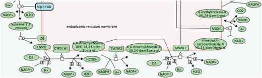 Pathway diagram segment using full small molecule names.