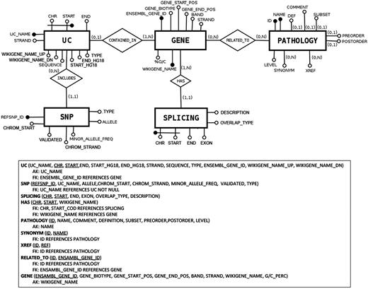 Database structure described in entity–relationship model (ER model) standard language.