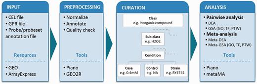 Analysis workflow. The diagram shows the workflow in the following steps: input, preprocessing, curation and statistical analyses. Tools and resources are also listed in the boxes. Microarray data sets from Affymetrix gene chip (CEL file) and cDNA two-color (GPR file) platforms were retrieved from GEO and ArrayExpress database together with probe/probeset annotation file. The data sets were preprocessed using Piano for Affymetrix and GEO2R for cDNA platform. Each data set was curated into defined experimental classes and subclasses, and it was considered in detail of experimental conditions (control values, case values, strains and type of repeats) based on its experimental details. Statistical analyses were performed including pairwise and meta-analysis. Both types of analyses were used to identify differentially expressed genes and enriched biological features: GO, TF and PTW.