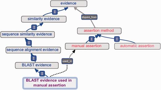 ‘Evidence’ and ‘assertion method’ root classes and an internal cross product term. The evidence hierarchy (blue text) is disjoint_from (grey arrow) the assertion method hierarchy (red text). The cross product term ‘BLAST evidence used in manual assertion’ (purple text) descends from the evidence hierarchy (‘I’ = is_a ), and the term’s logical definition allows a reasoner to infer the used_in relationship (dotted arrow) to ‘manual assertion’.