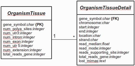 Database structure. The entity relationship diagram describes the structure of the database.