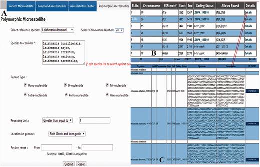 Overview of the retrieving of polymorphic repeats using screen-shots of various pages. ( A ) Main page containing species name which can be selected; ( B ) Overall information of the polymorphic repeats; ( C ) Detail information of the polymorphic repeats.
