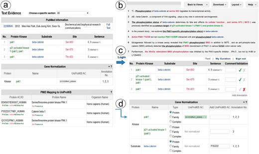 Snapshot of RLIMS-P text evidence page. The text evidence page contains two panels, one containing tables for the article general information, the RLIMS-P annotation, the normalization and UniProtKB mapping (a); the other containing the text with color-coded entities (b). Once the user logs in, new boxes for editing and validating the annotation and normalization appear (c). The information in the mapping table can be used to assist in normalization task during curation (d).