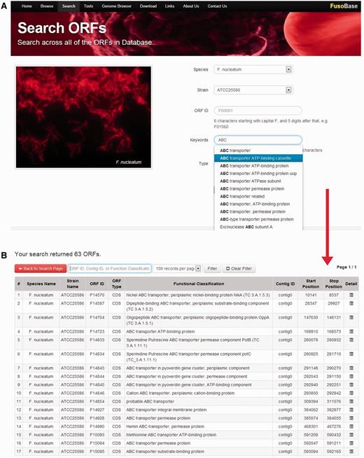 Real-time data searching system.