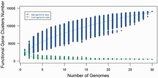 Pan- and core-genomes size prediction for Fusobacterium. The blue curve denotes the pan-genome size, while the red curve represents the core-genome size. The dot represents every genome comparison with different combination and the median values have been used to draw the curve.