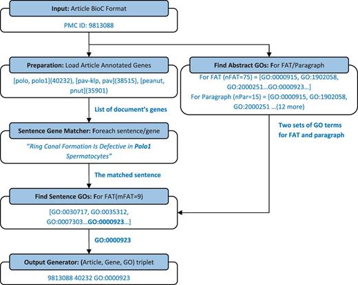 This flowchart shows the process of finding GO terms for each gene in a given document by an example. The example sentence category is ‘front_2’ (FAT sections). With the exception of the value for n and m parameters, the process is the same as FAT for sentences in paragraphs.
