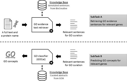 Overall workflow of the BiTeM/SIBtex system for BioCreative IV GO task. First (subtask A ), given a full text and a protein name, the system extracts relevant sentences for GO curation. Then (subtask B ), given these relevant sentences, the system predicts relevant GO concepts for curation. For both subtasks, the system uses machine learning, thanks to KB designed from the BioCreative training data and GOA.