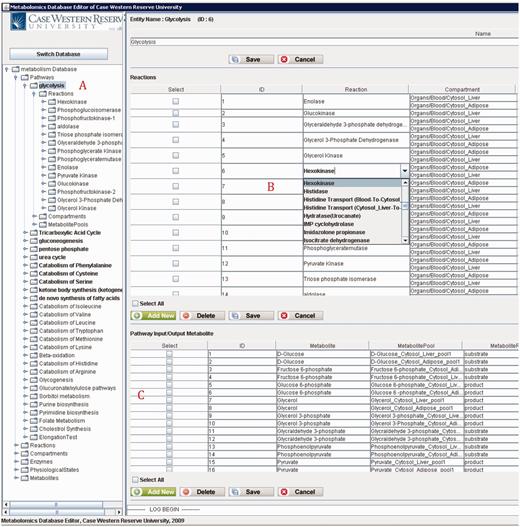 PathCase-MAW editor showing data for glycolysis pathway.